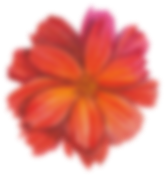 flower.png